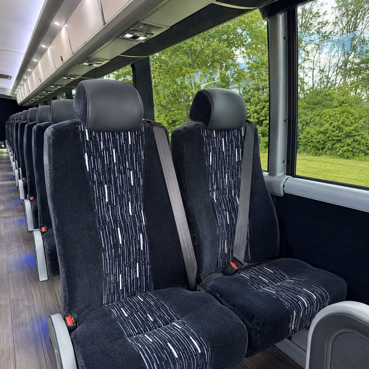 mentor attend mentor concerts with a charter bus rental