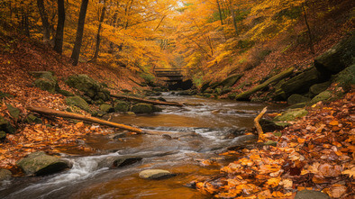 cuyahoga valley national park 2