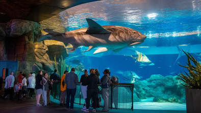 greater cleveland aquarium 2