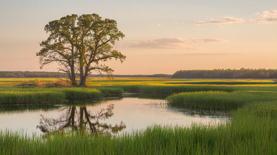 mentor marsh state nature preserve